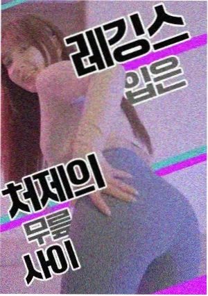 风起陇西之暗影 电视剧 2026